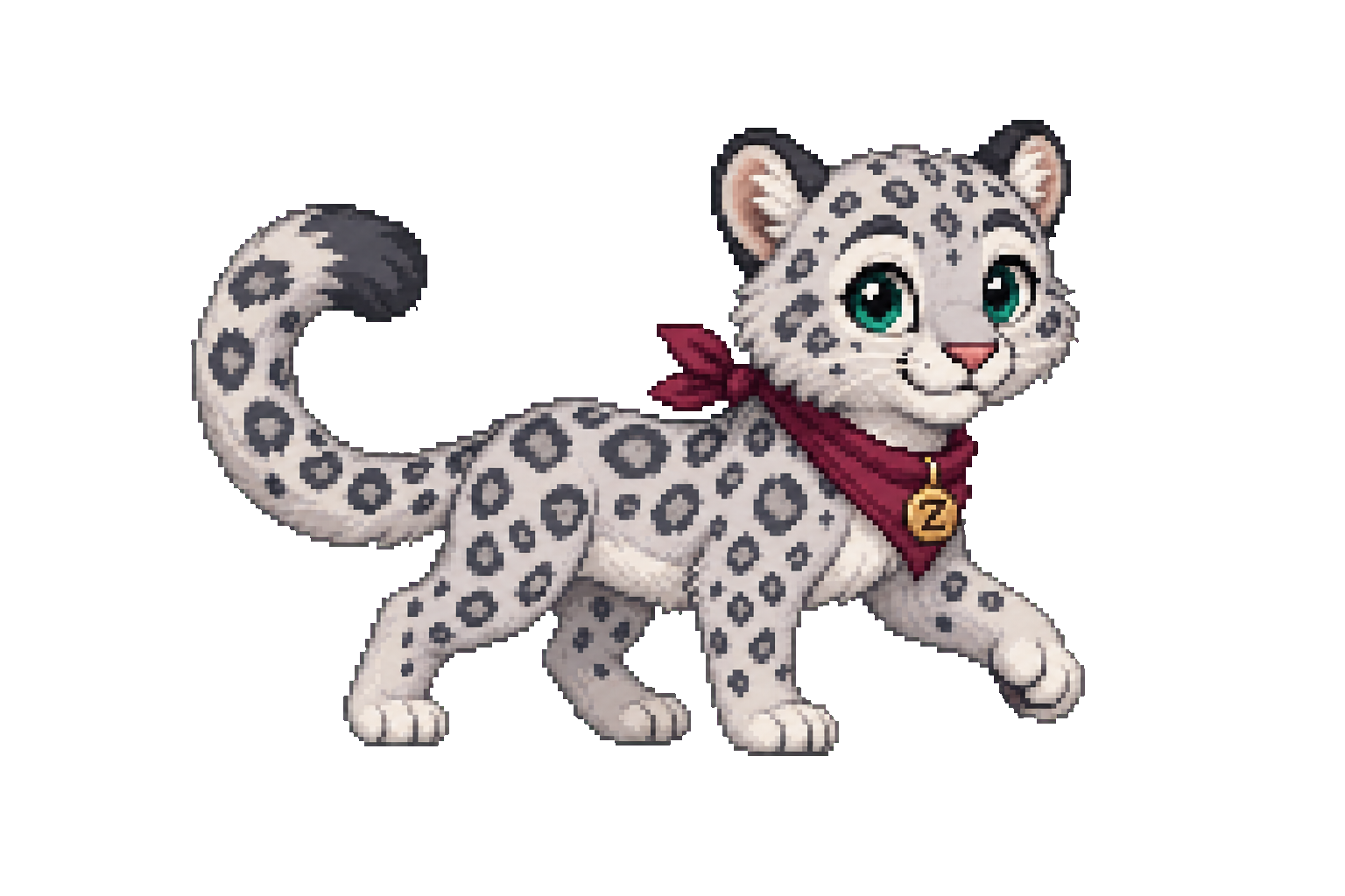 Zee the snow leopard walking in her burgundy bandana and Z tag