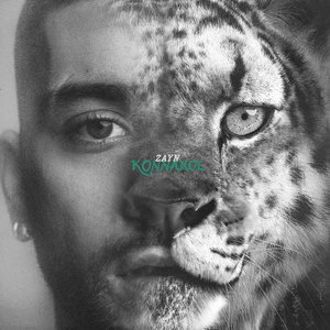 Zayn photo for Music